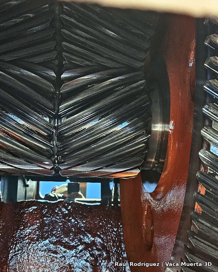 Dientes en V de la caja, foto de Raúl Rodríguez