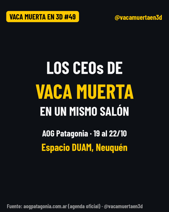 Los CEOs de Vaca Muerta, en un mismo salón
