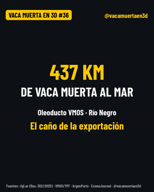 VMOS: el caño que lleva Vaca Muerta al mar