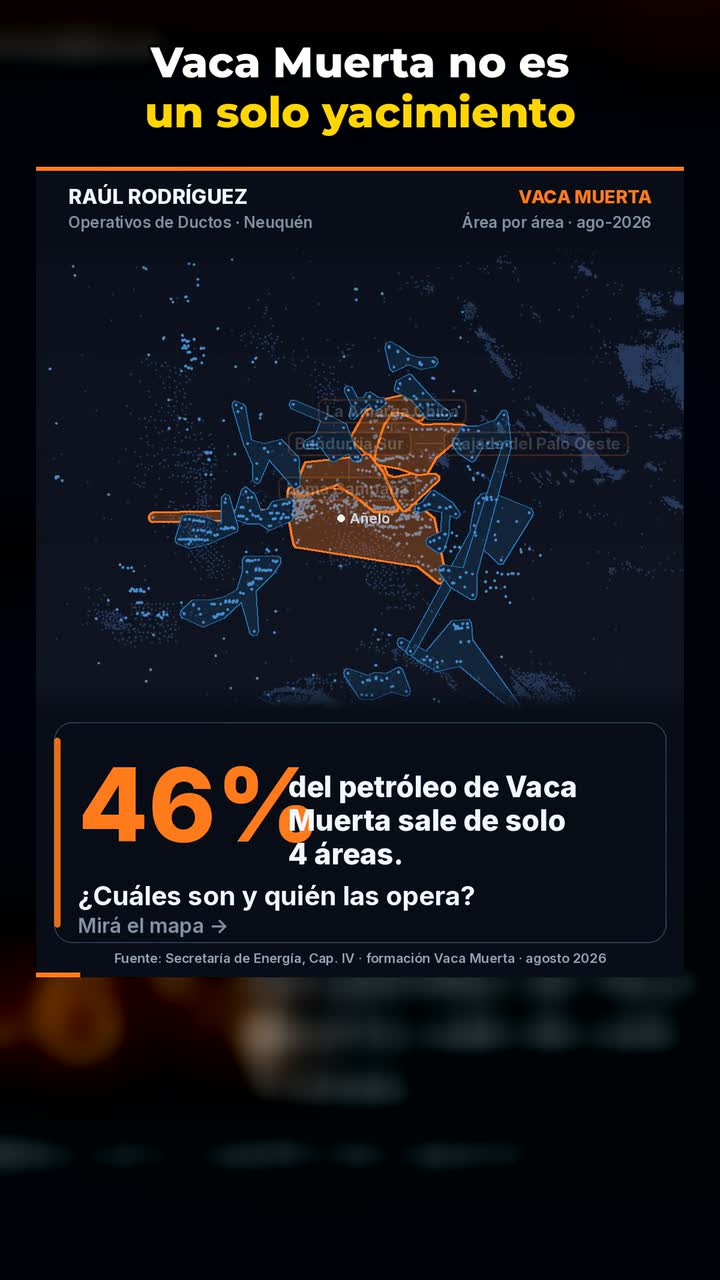 Vaca Muerta, área por área